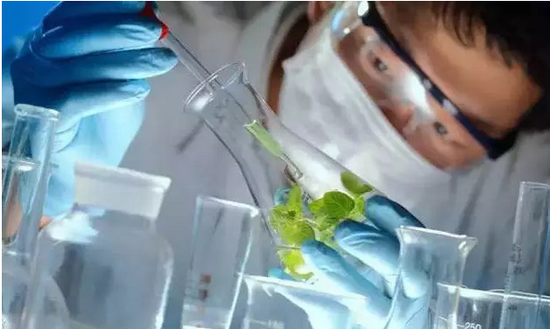 微信截图_20160809101220