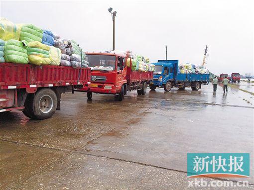 深圳549吨疑带艾滋病旧衣服暴露啥 相关部门用卡车把走私旧衣物拖去销毁。 郑雁虹/摄