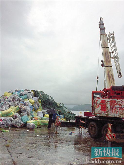 深圳549吨疑带艾滋病旧衣服暴露啥 一台吊车正吊起涉案旧衣物。 郑雁虹/摄