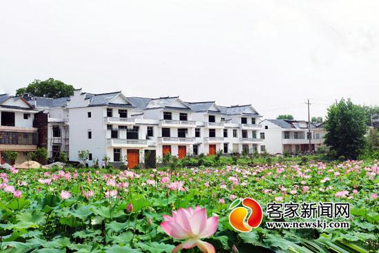 实施产业扶贫后，赣南越来越多的贫困户住上了新房。图为瑞金市沙洲坝镇洁源村。