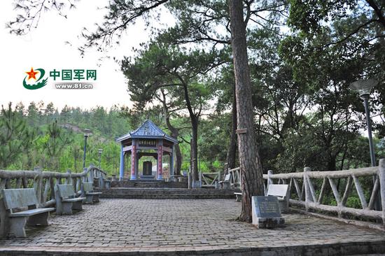 华屋村后山上的烈士纪念亭和烈士当年种下的松树。