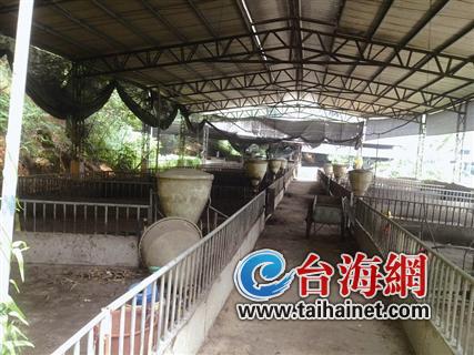 余某夫妇养猪场里的猪已被清空。
