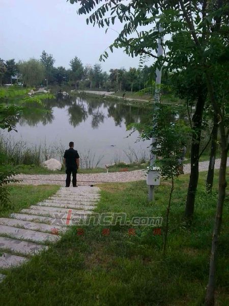图片由西安晚报热心读者王先生提供