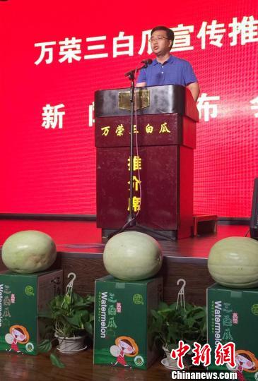 万荣县县长李永辉宣传推介三白瓜。　任丽娜　摄