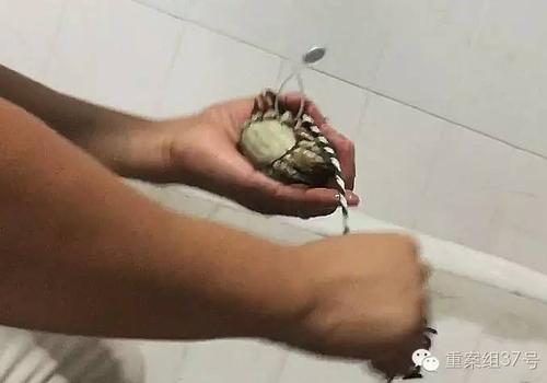 ��������г���һ������բз���̻���������ٵġ����κ���բз����    �¾������� ��· ��