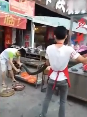 视频截图