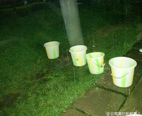 图为学生拿桶接雨水。