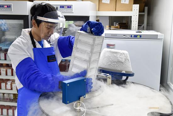 8月10日，工作人员将细胞样本放入-196℃的液氮中保存。新华社记者 毛思倩 摄