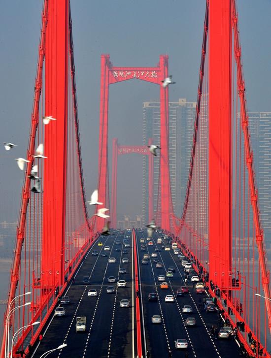 ▲2014年12月28日， 武汉鹦鹉洲长江大桥通车，三塔四跨和“国际橘”的靓丽色彩，让有“建桥之都”的武汉市民引以骄傲和自豪。(图/视觉中国)