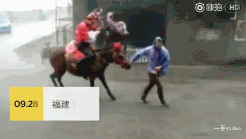 新郎风雨中坐船接亲 台风也拦不住娶老婆(图)
