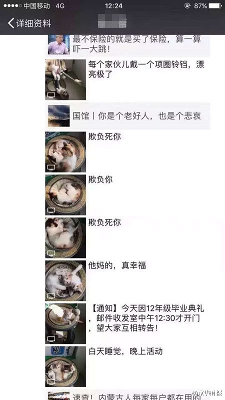 网曝北京某学校收发室工作人员疯狂虐猫 多只猫被“五花大绑”