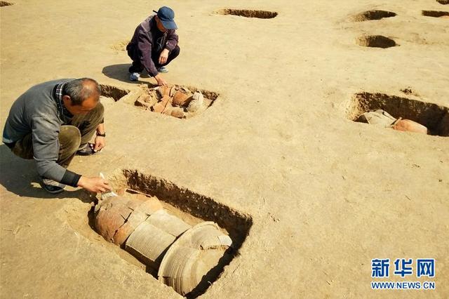 10月10日，考古人员在黄骅市郛堤城遗址发掘现场清理瓮棺墓葬。