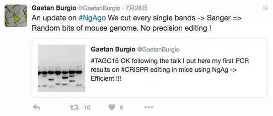 澳大利亚国立大学科学家Gaetan Burgio发布Twitter,表示NgAgo编辑“有效”。但随后有发文表示“经过更多的检测,没有严格意义上的证据显示韩春雨的NgAgo-gDNA技术有基因编辑的迹象“,并要求韩春雨公开所有原始数据和实验条件。