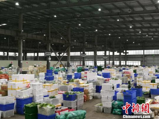 海口市菜篮子集团已分拣好40个品种共计100吨的蔬菜，待台风过境风力减弱之后立即配送至零售网点。 王子谦 摄