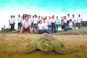 海龟保护队。