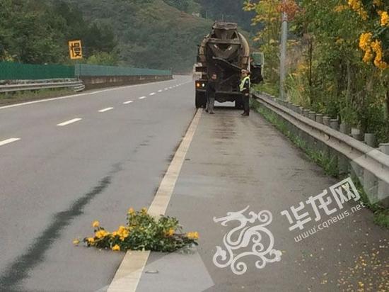 驾驶员摆束鲜花在车后当警示标志。市交通执法高速二支队五大队供图 华龙网发