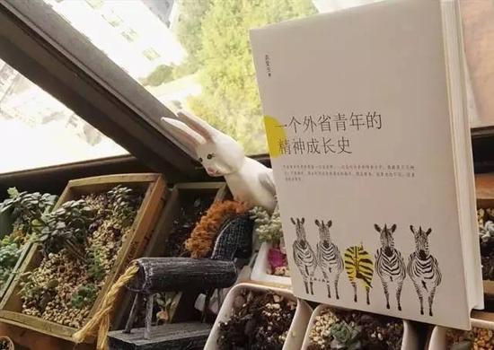 乡村少年你要去哪里呀?|外省青年