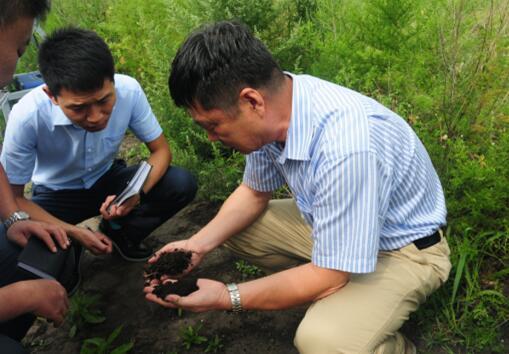 中科院专家向记者介绍黑土有机质变化情况 管建涛摄