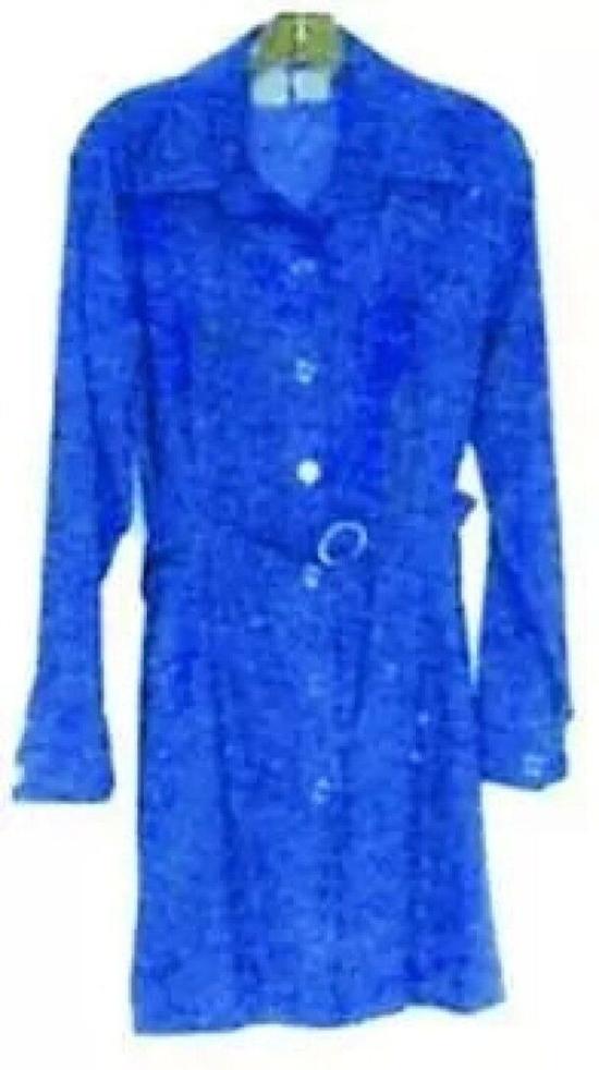 莱温斯基带有克林顿精液的蓝裙子为当初性丑闻的有力证据。
