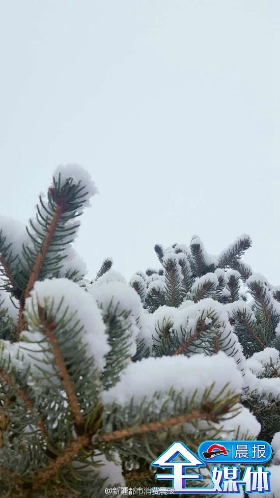 雪后的乌鲁木齐