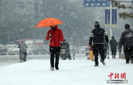 11月7日，立冬日，辽宁沈阳降下今年冬天第一场雪。 中新社发黄金昆摄