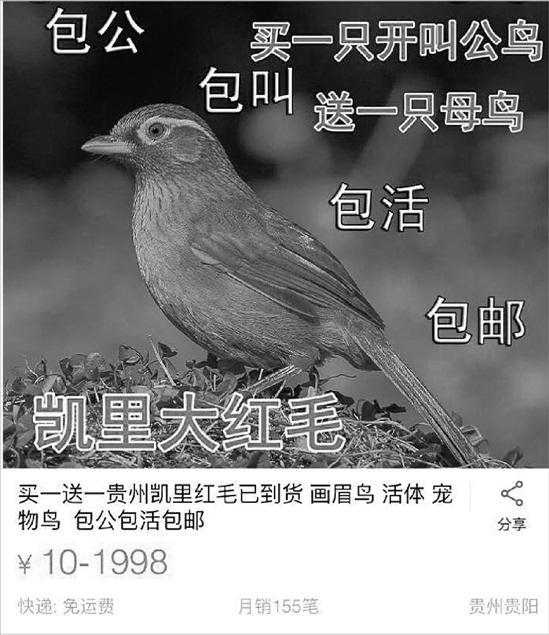网络截图