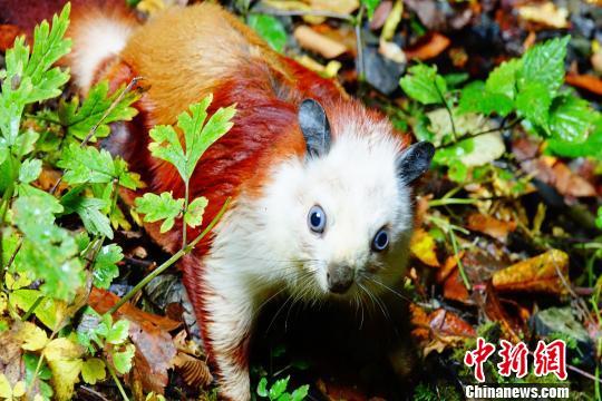 安徽快3开奖结果时间