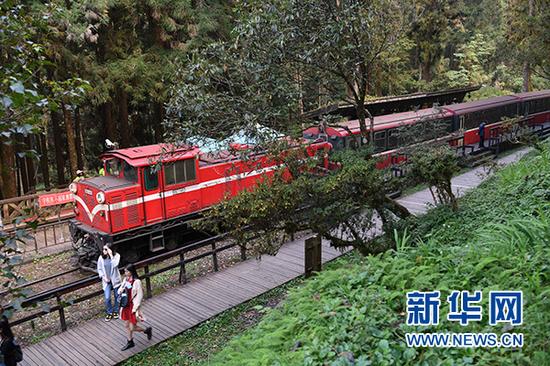 游客在阿里山游玩（新华社记者 朱祥 摄）