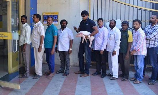 印度电影明星拉维•巴布（左五）抱着一头小猪在银行排队取钱。（图片来源：英国《卫报》网站）