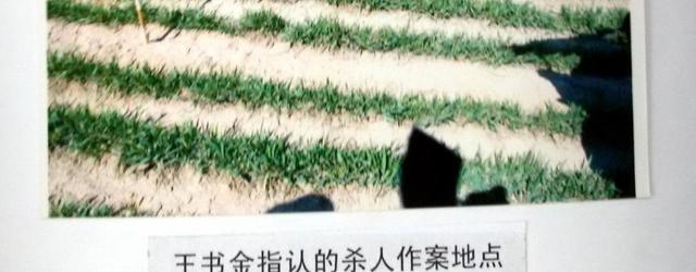 玉米地里的“杀人回忆”