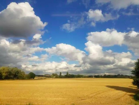 19世纪英国gdp_弗朗西斯科&middot;费拉拉19世纪对税收的声讨