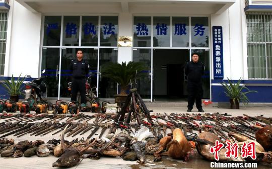 图为向当地群众现场展示依法收缴的野生动植物死体、制品,以及枪支、油锯和刀具等违法涉案工具 常宗波 摄