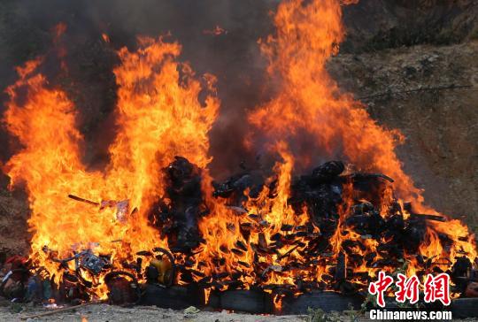 图为公开焚毁野生动物制品及枪支 常宗波 摄