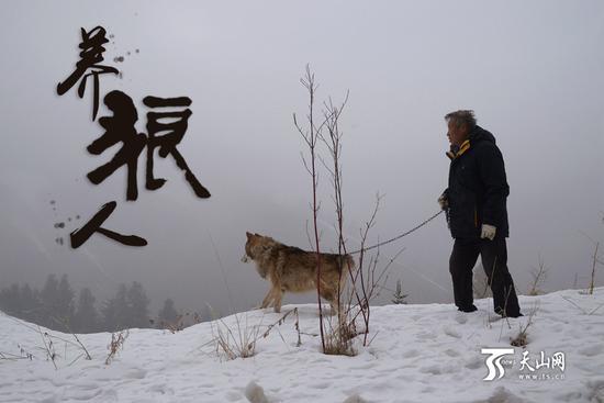 71岁的杨长生在野狼谷整日与群狼朝夕相伴。