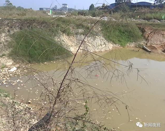 今日竞彩足球强胆