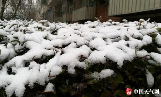 25日夜间开始，天津出现降雪。