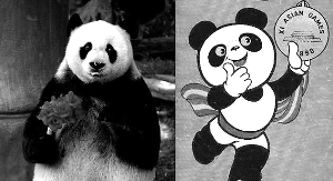 　去世的大熊猫“盼盼”不是亚运会吉祥物原型“巴斯”。36岁的“巴斯”是一只雌性大熊猫，目前正生活在海峡（福州）熊猫世界。