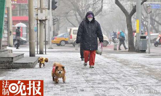 北京飘雪了。