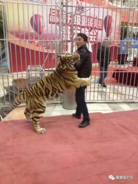 因非法运输珍贵、濒危野生动物罪被判刑10年的马戏团团主李荣庆。 受访者供图