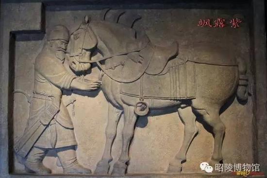 “昭陵六骏”中流失美国的“两骏”之一——飒露紫。