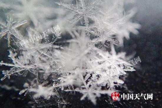 今天上午,北京出现降雪,雪花晶莹剔透。