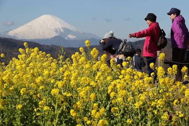 富士山 资料图