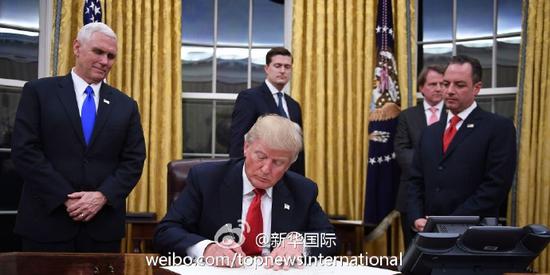 现在的金色窗帘