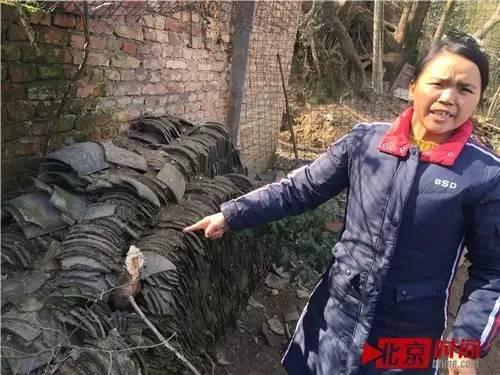 费伦菊指着一个直径十几厘米的树干说，邬乃从当时就在这砍倒这棵树。 图/北京时间 尹志艳