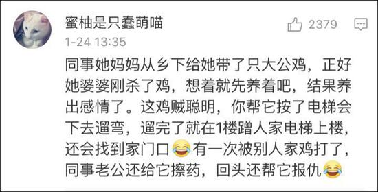 鸡飞什么什么成语_成语故事图片(3)