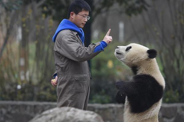 中央5套-乐鱼app(leyu)官方网站-乐鱼官网