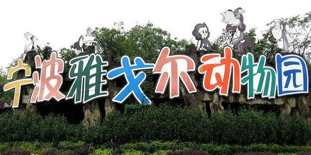 被老虎咬男子曾连踢虎头13脚 3次试图站起未果