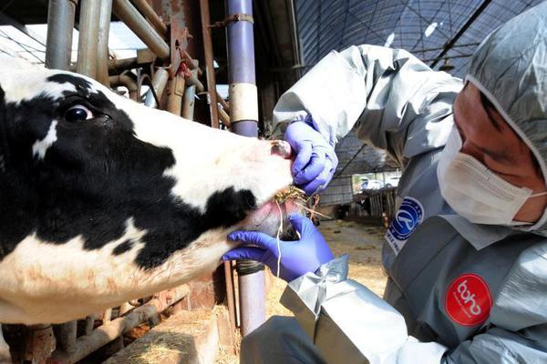 杰拉德兰帕德-九游体育(JIUYOU)官方网站-APP下载官网入口