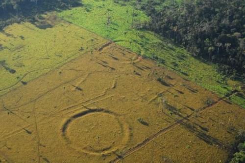 考古团队在巴西阿克里州被伐去树木的雨林中，发现约450个巨大图案，分布范围达1.3万平方公里。（图片来源：法新社）
