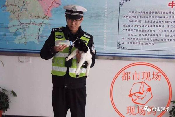 balotelli-乐鱼app(leyu)官方网站-乐鱼官网